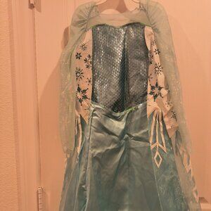 Disney Frozen Elsa Costume